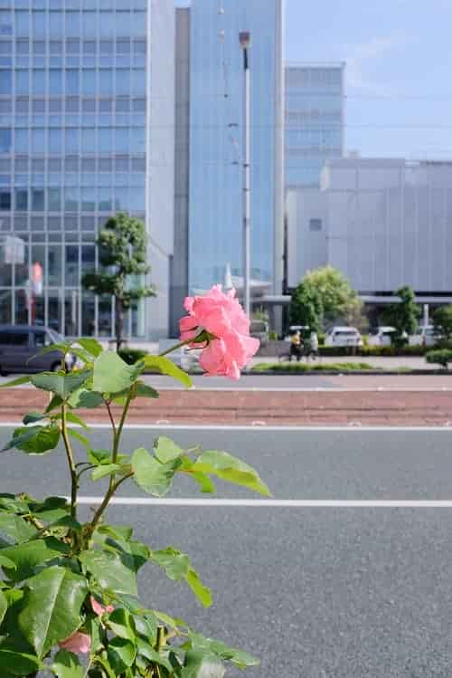 日本留學(xué)資訊