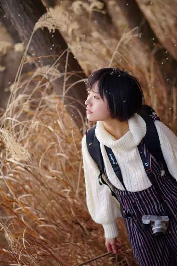 1595820375934588.jpg 微信圖片_20181127114050.jpg