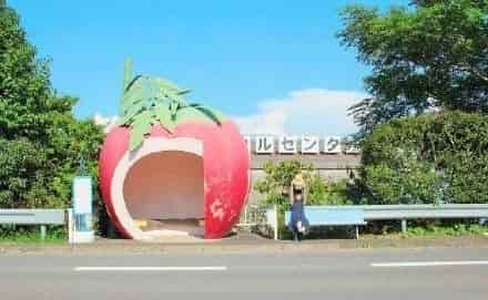 1603094036923348.jpg 716d6372gy1gh931xnjtqj20fs09q75q.jpg